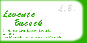 levente bucsek business card